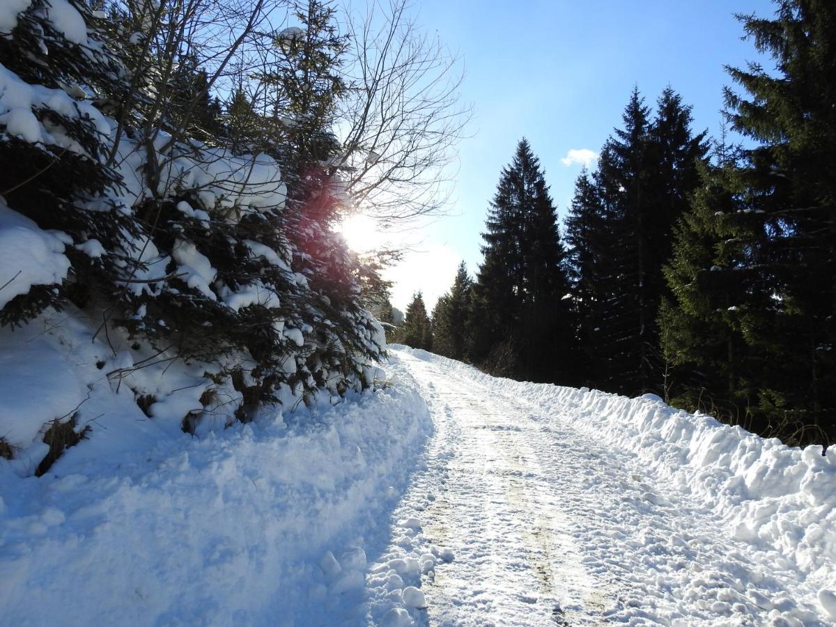 Bauernhof Biobauernhof Spieszschweiger Sankt Nikolai im Sölktal