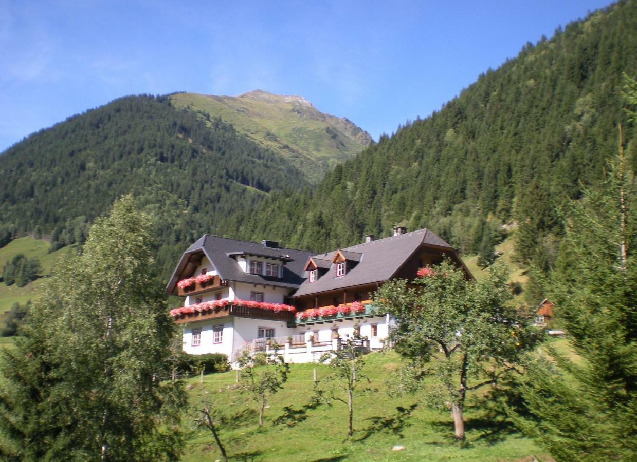 Bauernhof Biobauernhof Spieszschweiger