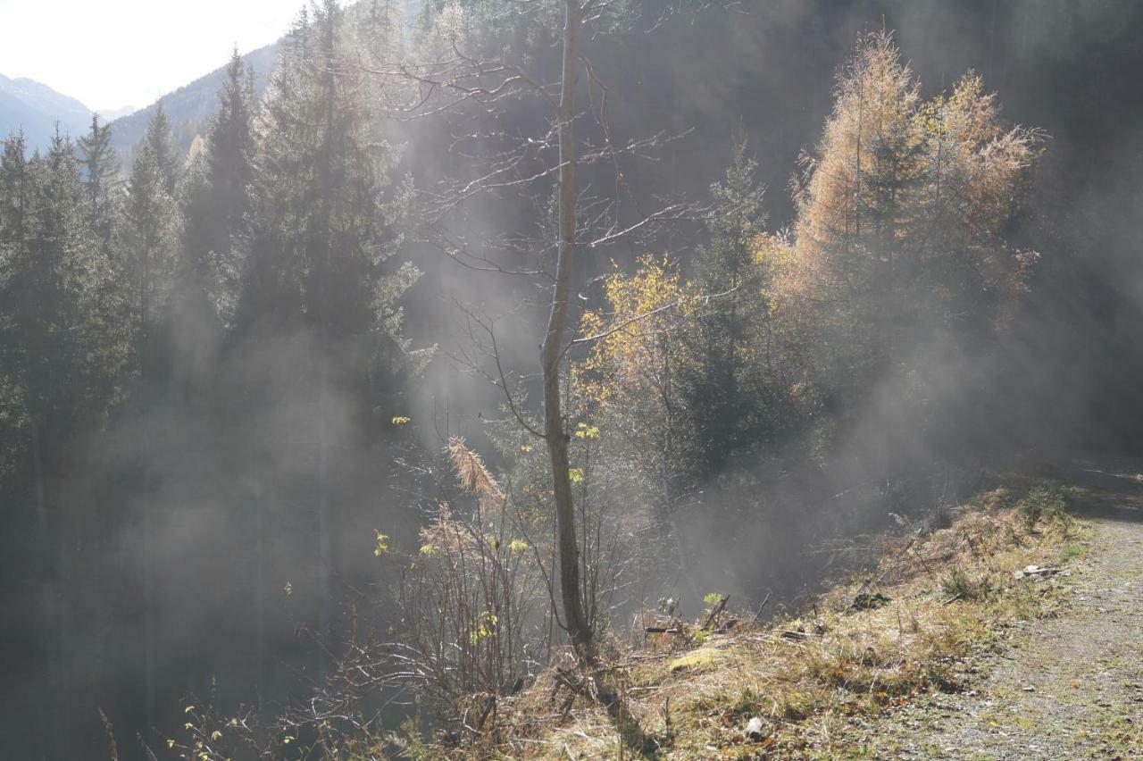 Biobauernhof Spieszschweiger Bauernhof *